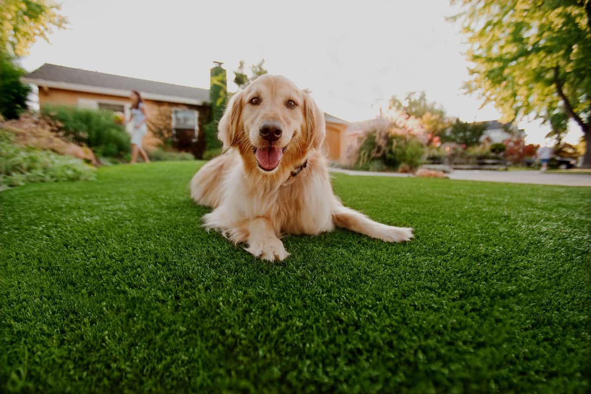 Artificial turf