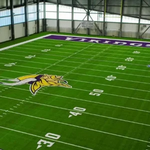 Artificial Grass for Indoor Facility