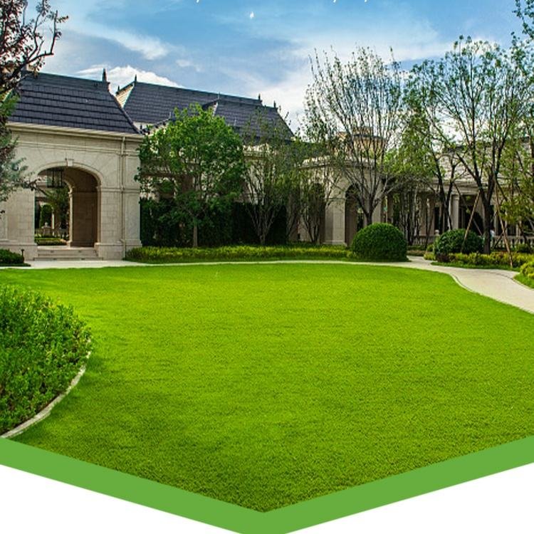 Artificial Grass for Yards